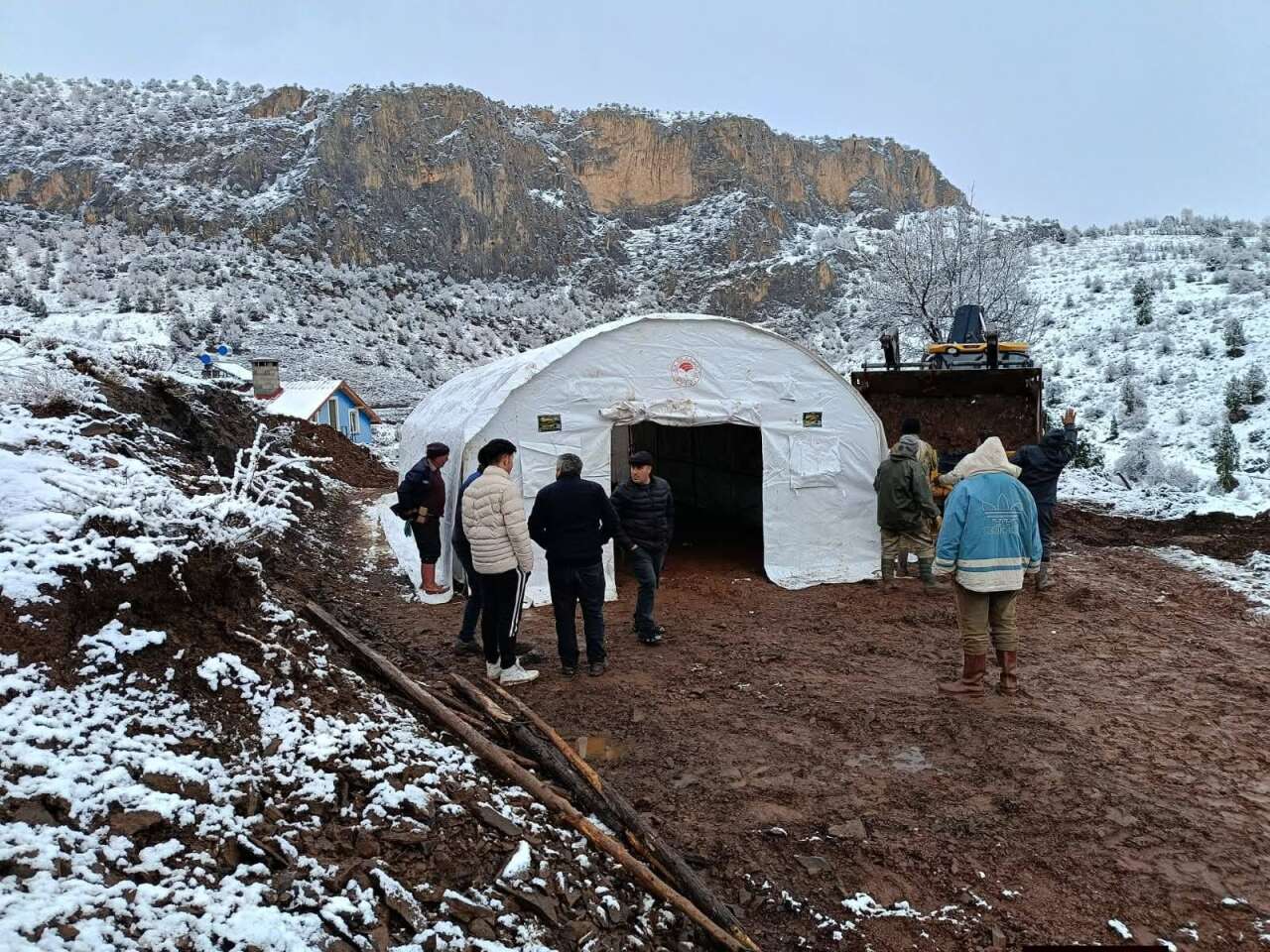 Konya’da ahır çöktü! Çok sayıda hayvan telef oldu 5